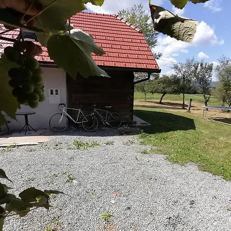 Hisa Suzana * Črnomelj